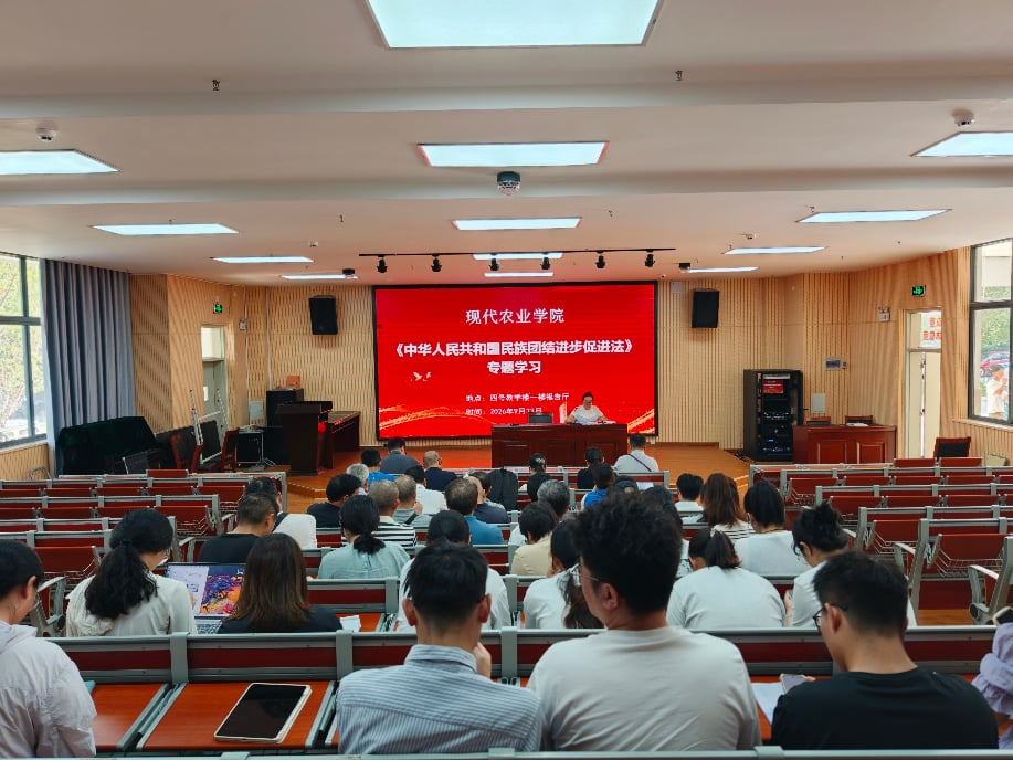 图片 4